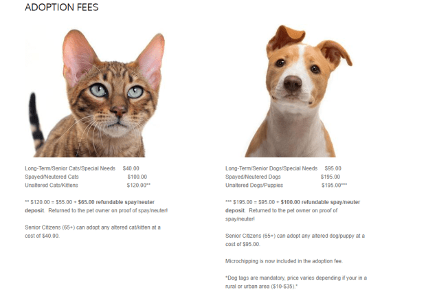 Adoption Fees